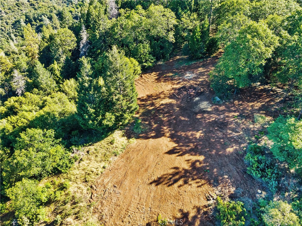 14087 Nimshew Property Photo 8