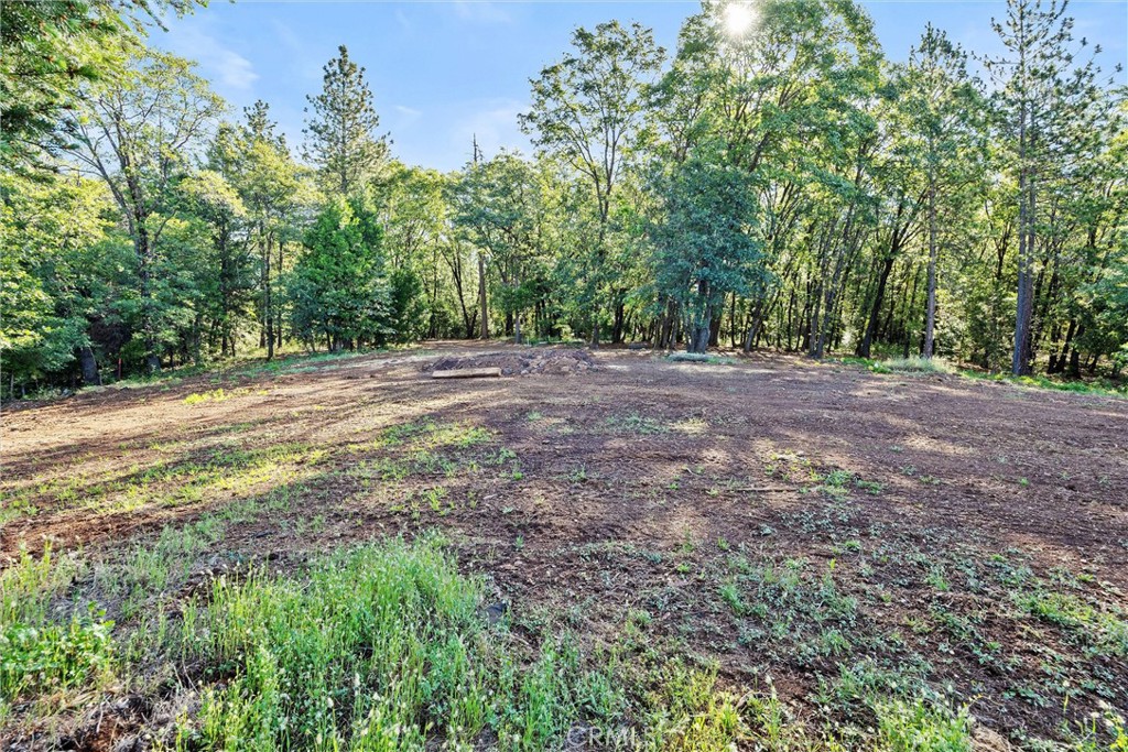 14087 Nimshew Property Photo 13