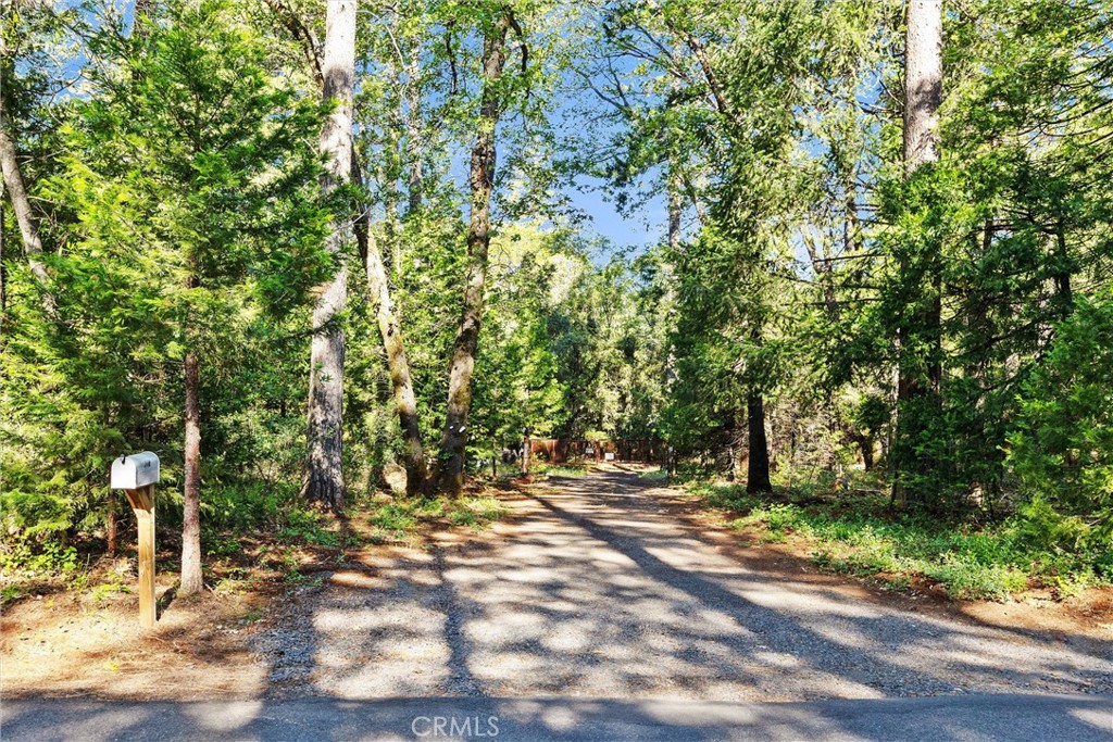 14087 Nimshew Property Photo 16