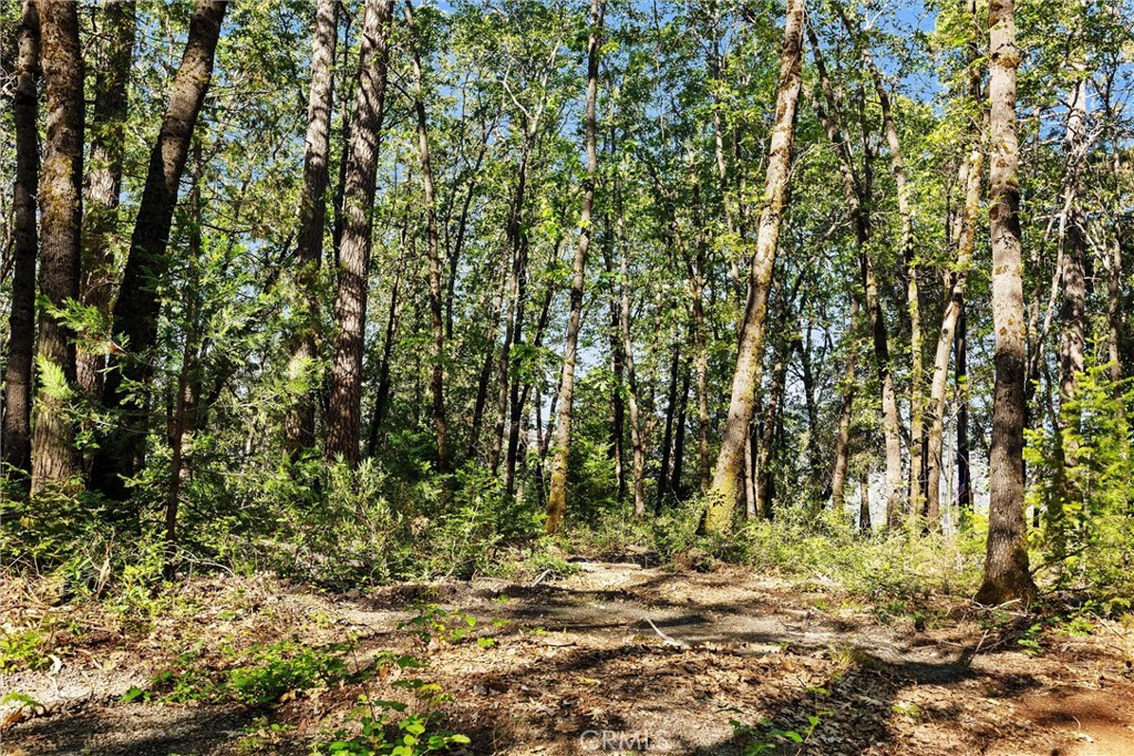 14087 Nimshew Property Photo 17
