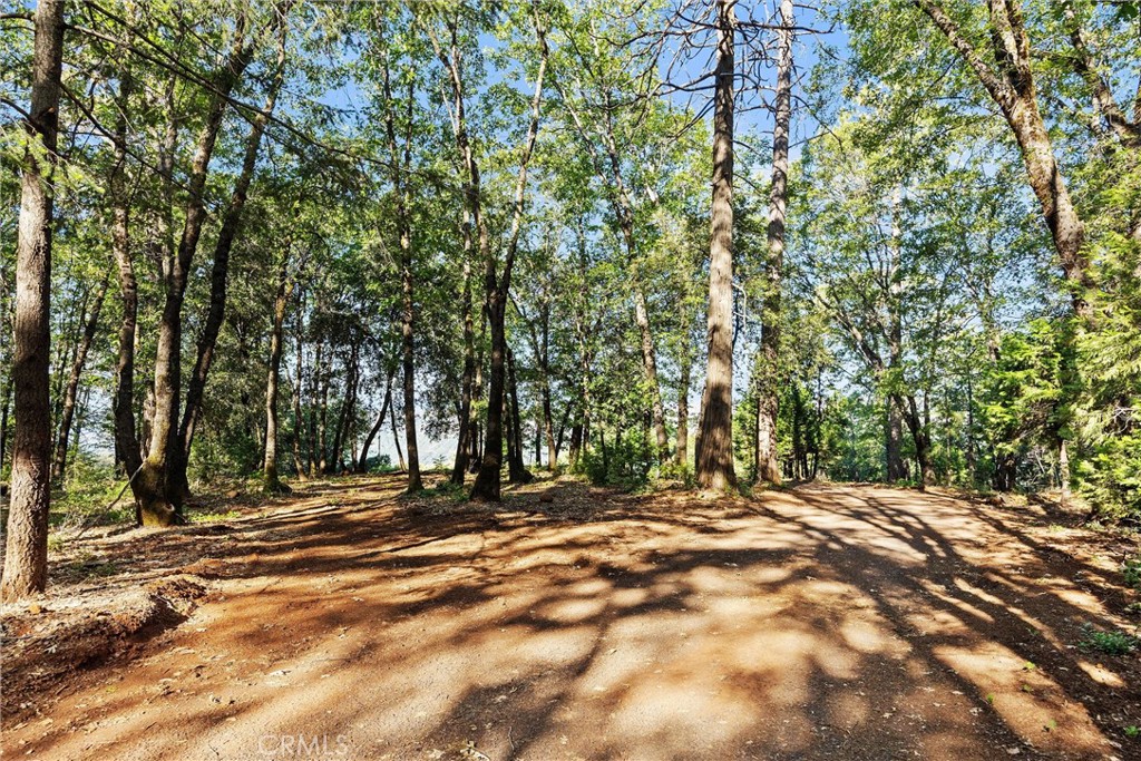 14087 Nimshew Property Photo 19