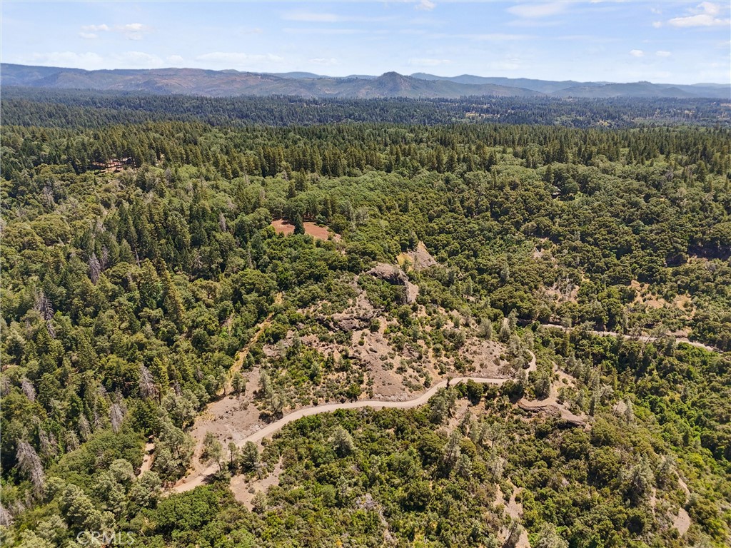 14087 Nimshew Property Photo 25