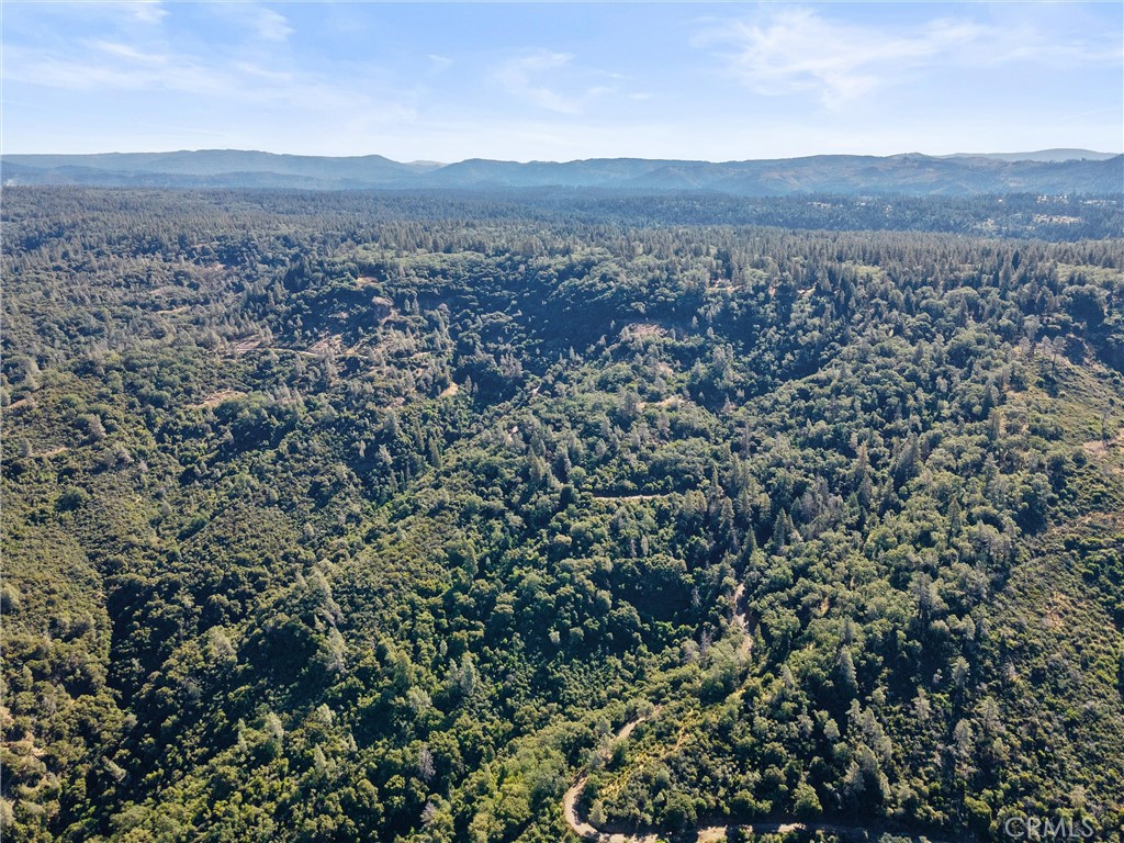 14087 Nimshew Property Photo 31