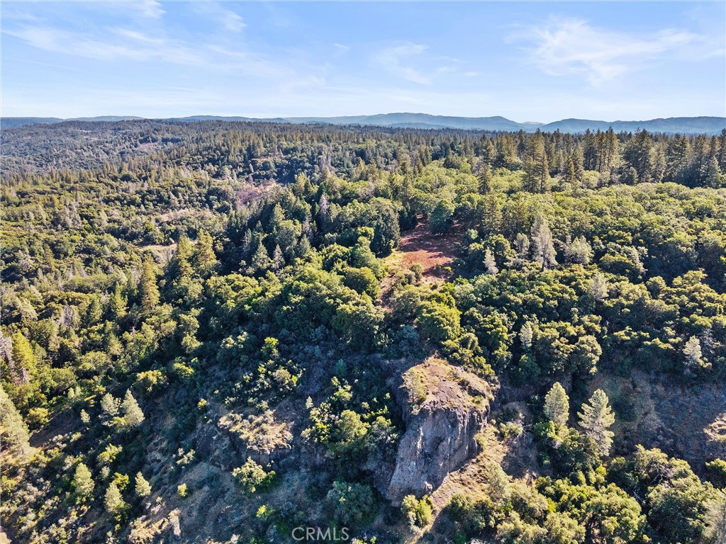 14087 Nimshew Property Photo 32
