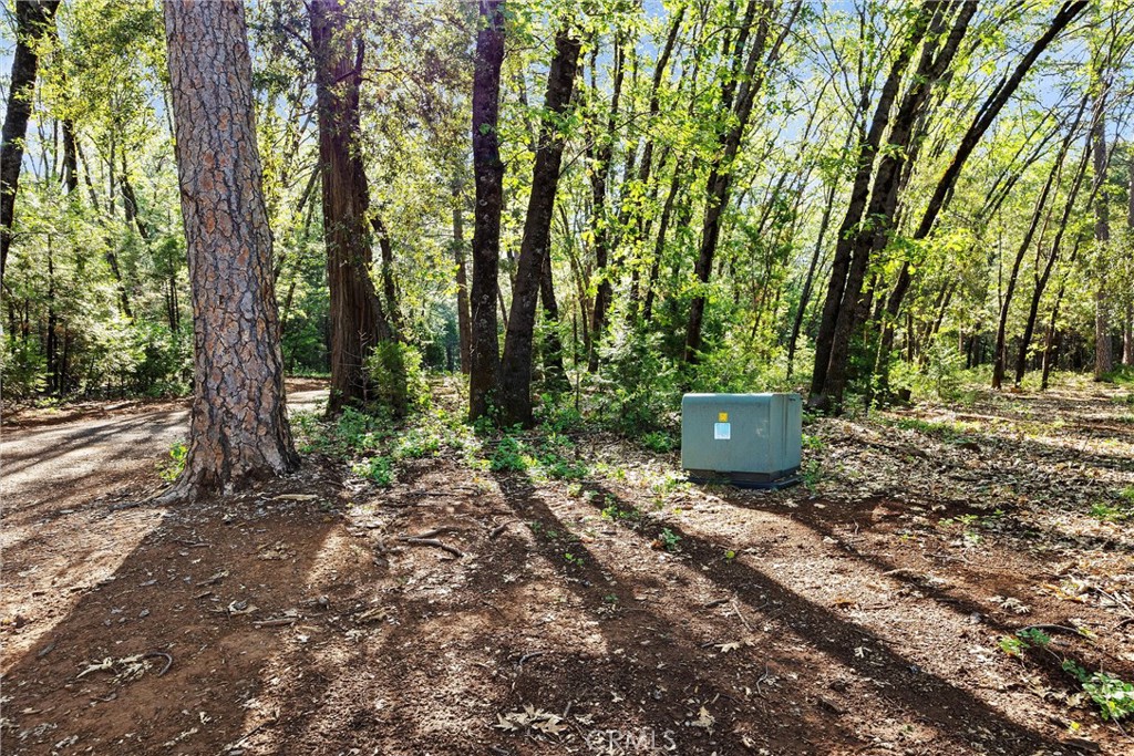 14087 Nimshew Property Photo 35