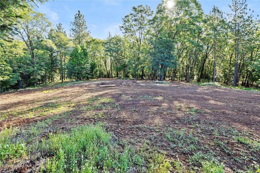14087 Nimshew Property Photo 36