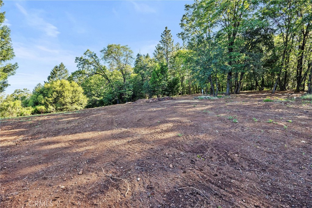 14087 Nimshew Property Photo 37