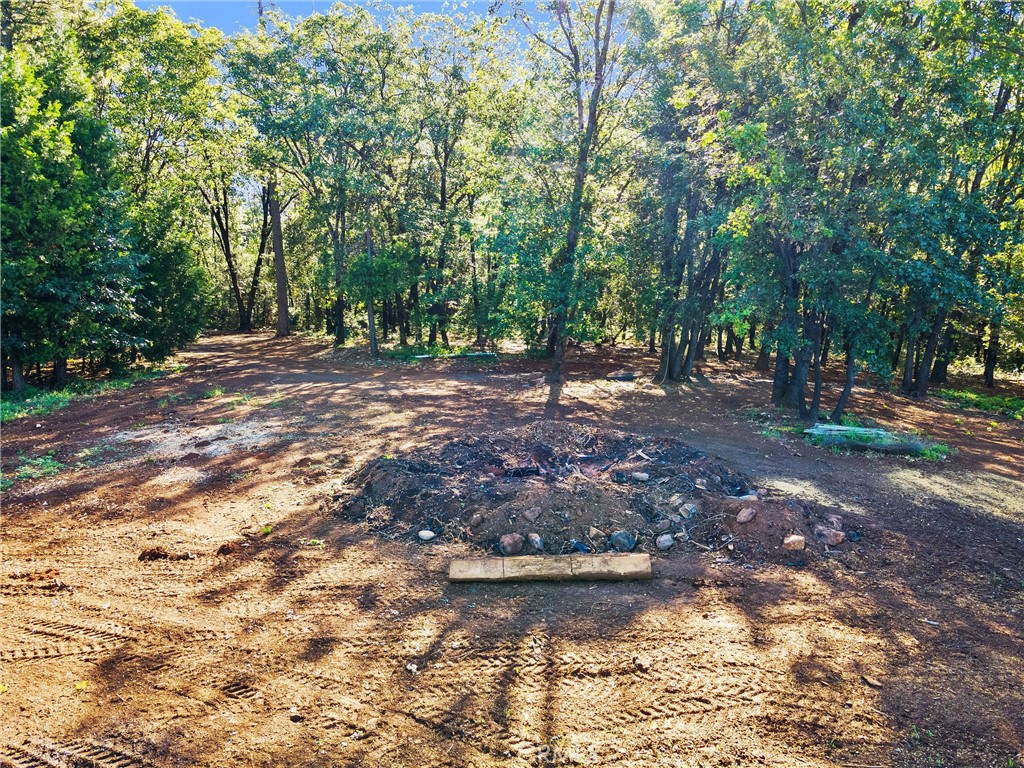 14087 Nimshew Property Photo 38