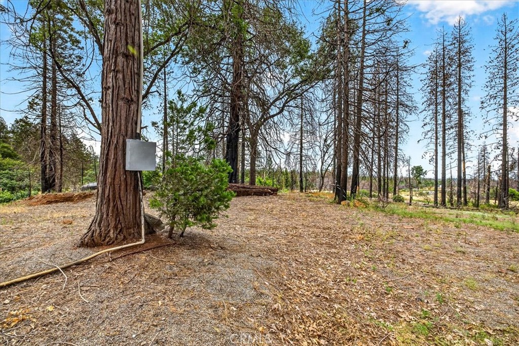 9627 Cohasset Property Photo 10