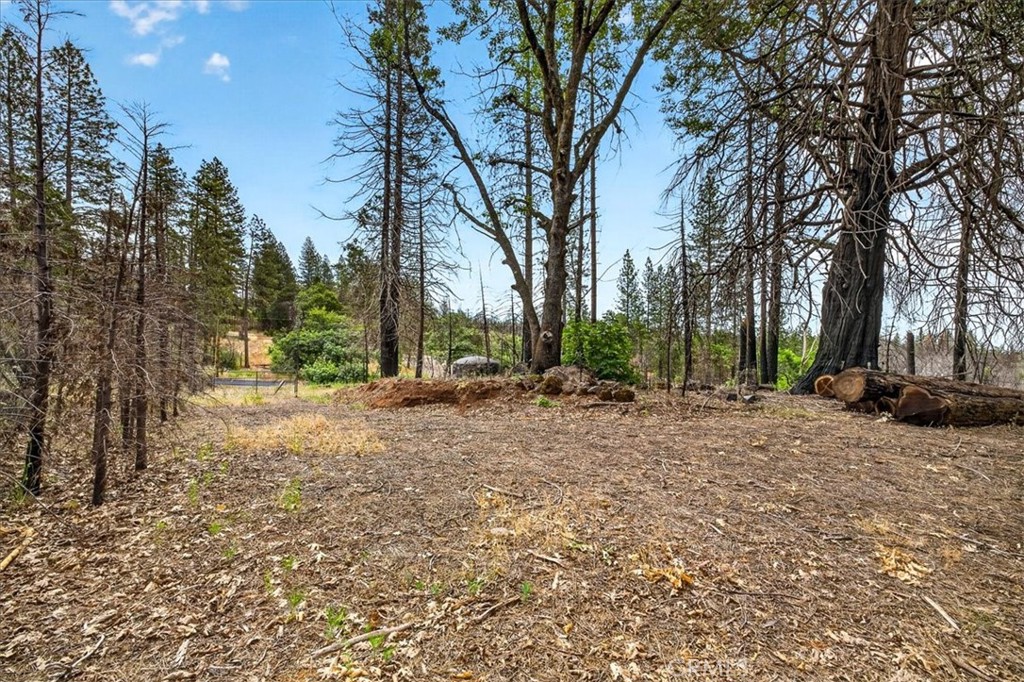 9627 Cohasset Property Photo 11