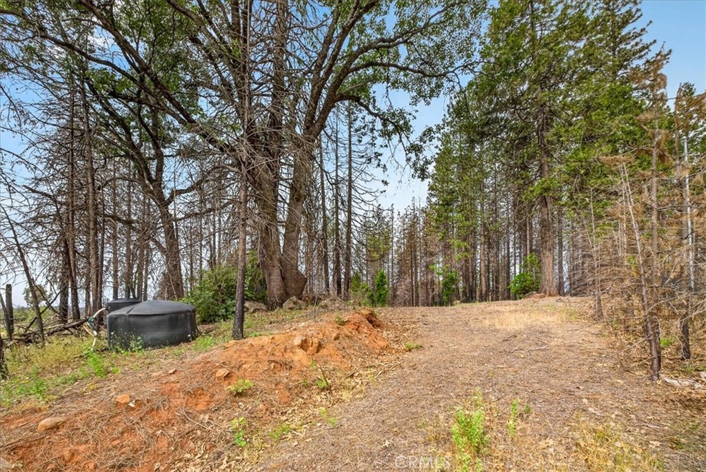 9627 Cohasset Property Photo 15