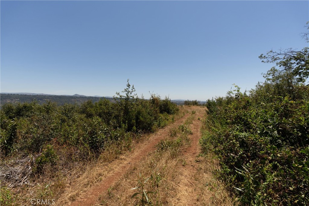 0 Doe Mill Property Photo 7