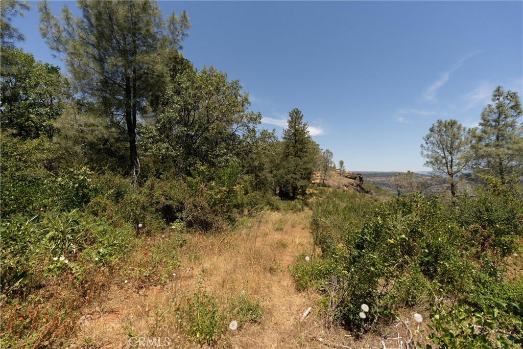 0 Doe Mill Property Photo 8