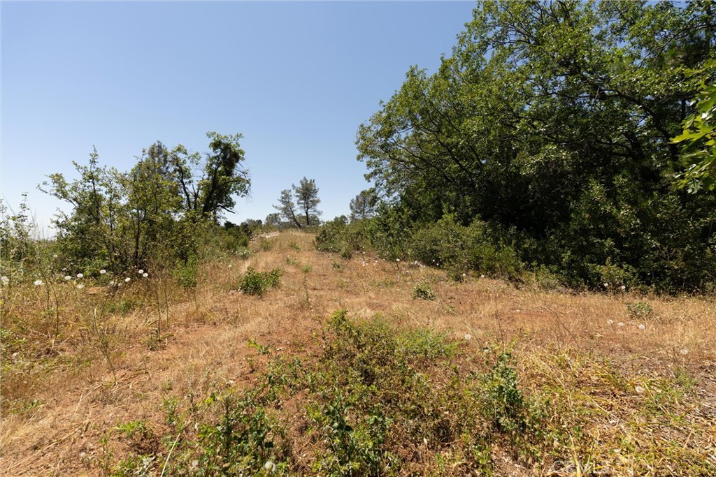 0 Doe Mill Property Photo 17