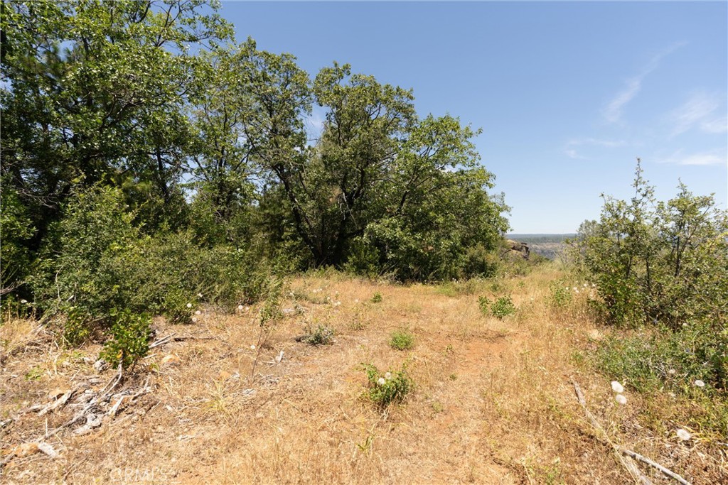 0 Doe Mill Property Photo 18