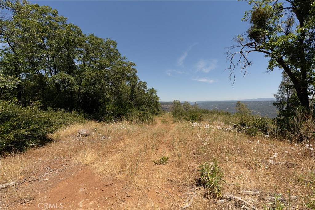 0 Doe Mill Property Photo 19