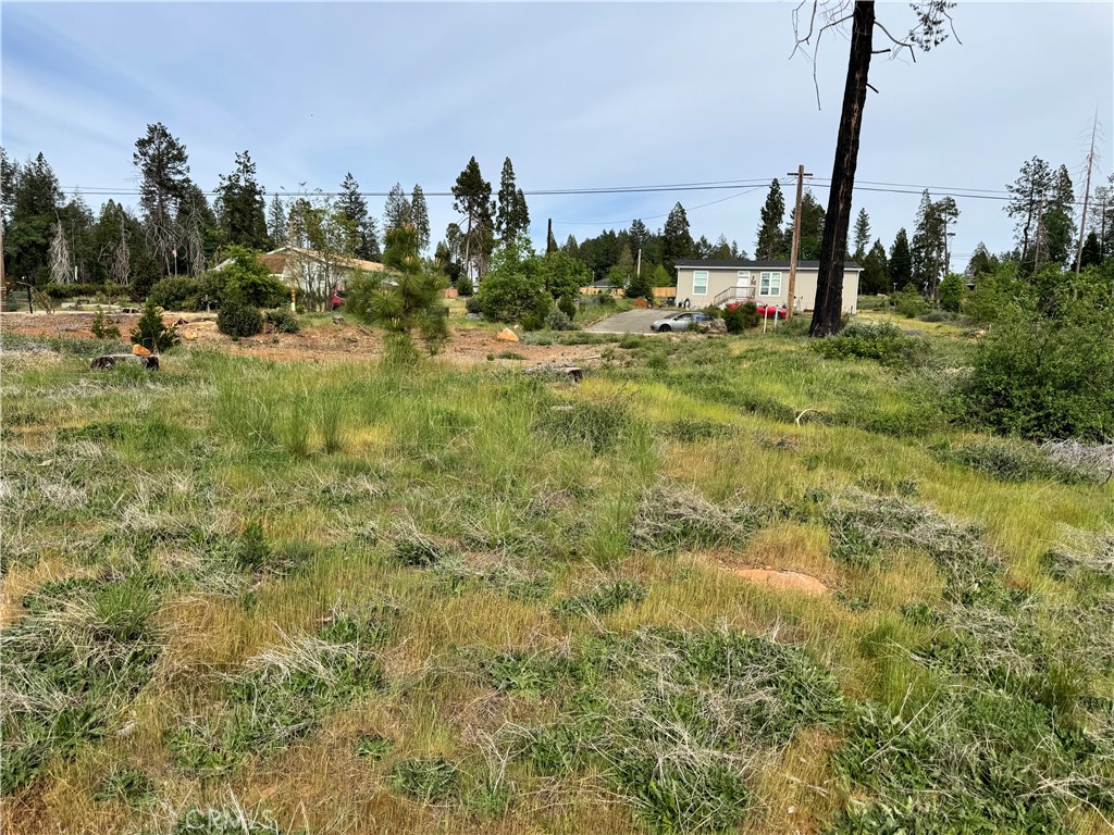 13947 Jarvis Property Photo 2