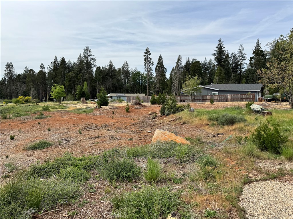 13947 Jarvis Property Photo 3