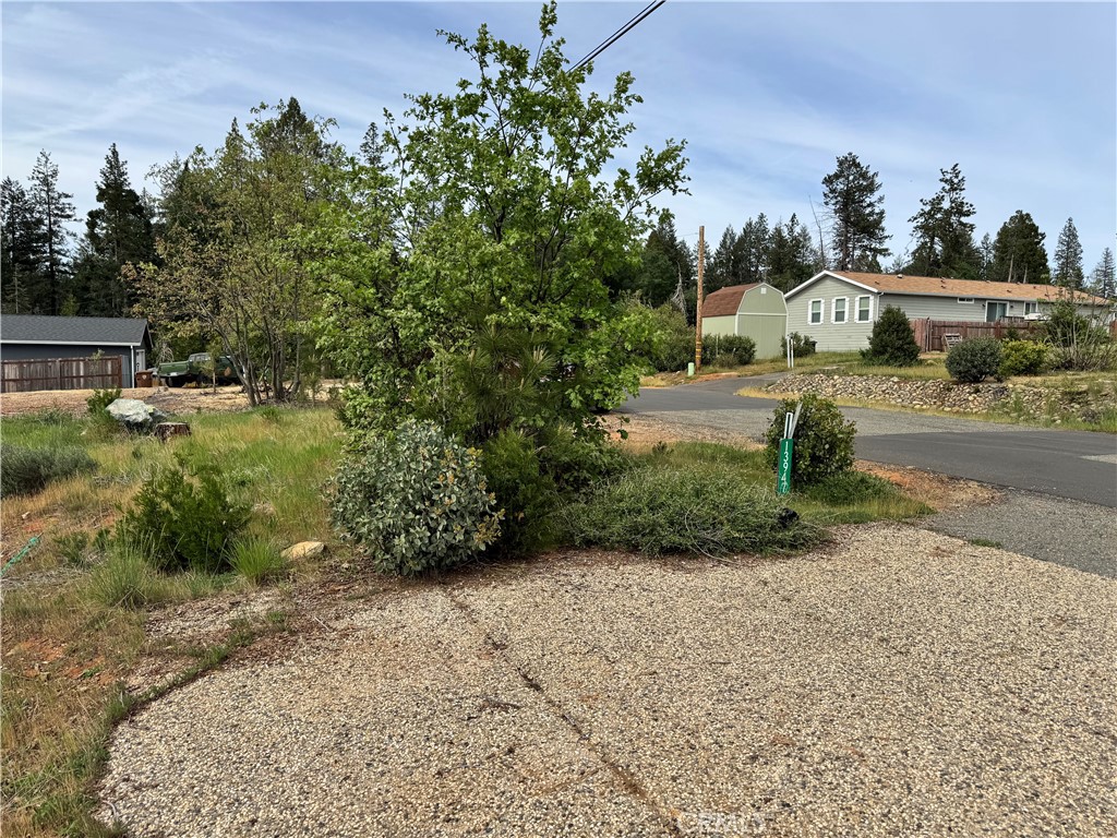 13947 Jarvis Property Photo 7