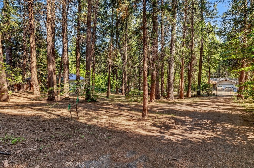 6463 Hollywood Property Photo 44