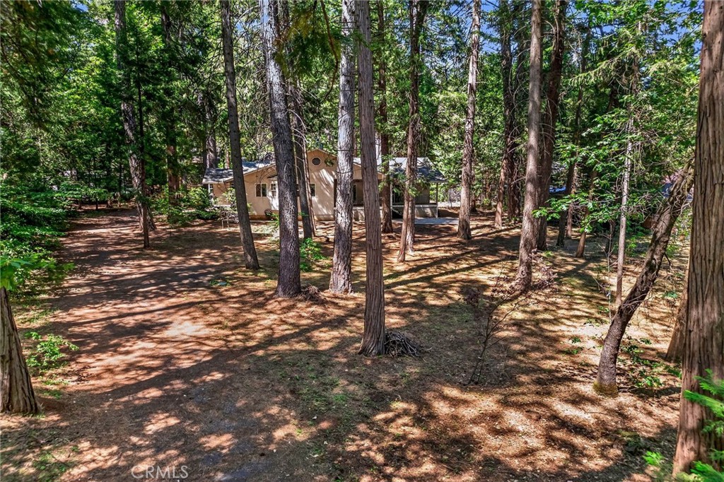 6463 Hollywood Property Photo 58