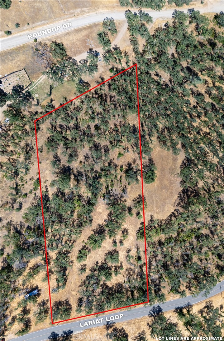 16398 Lariat Property Photo 1