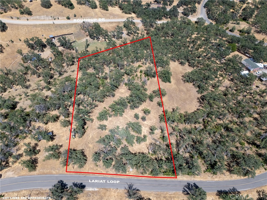 16398 Lariat Property Photo 2
