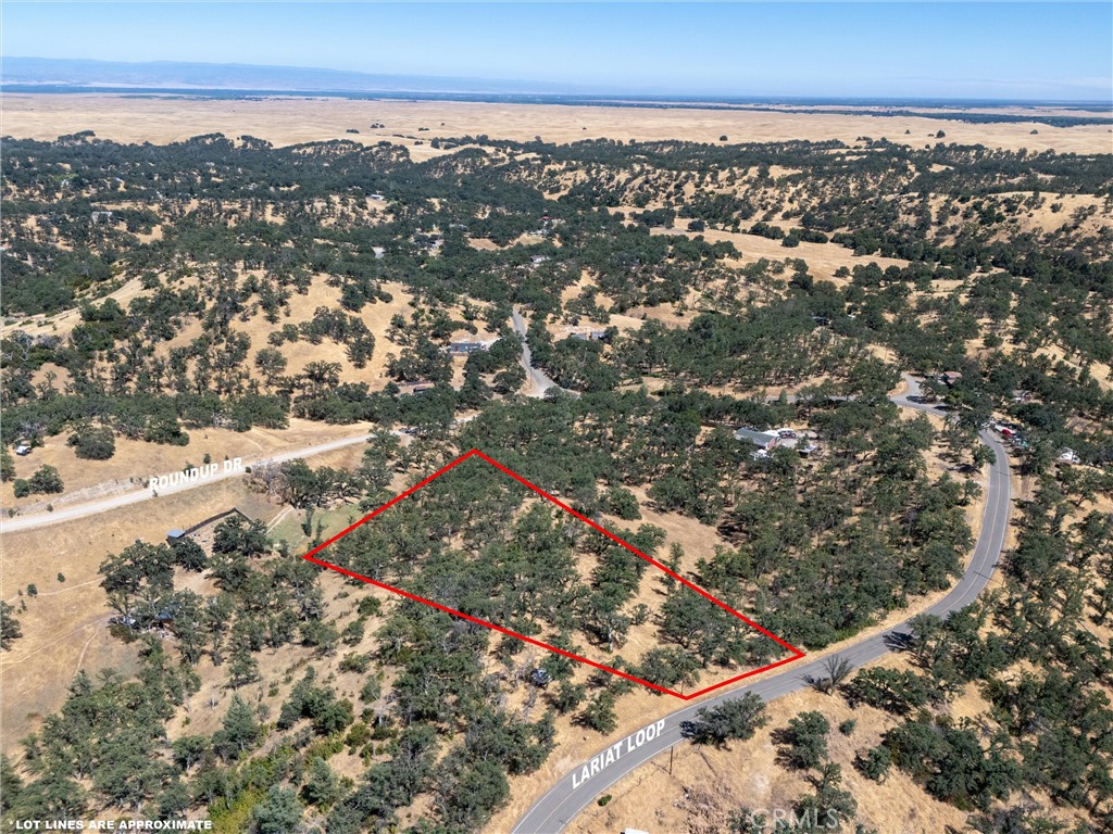 16398 Lariat Property Photo 3
