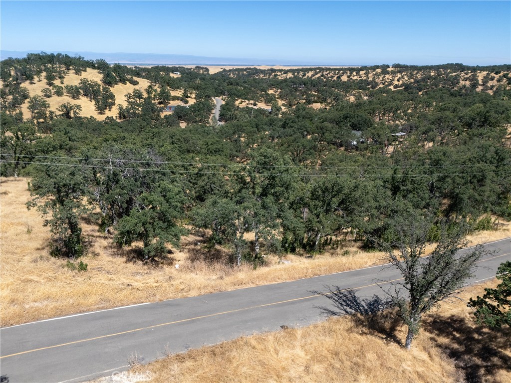16398 Lariat Property Photo 6