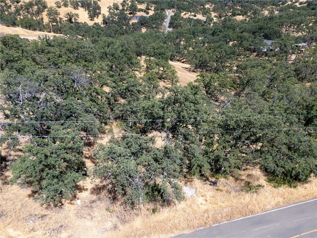 16398 Lariat Property Photo 7