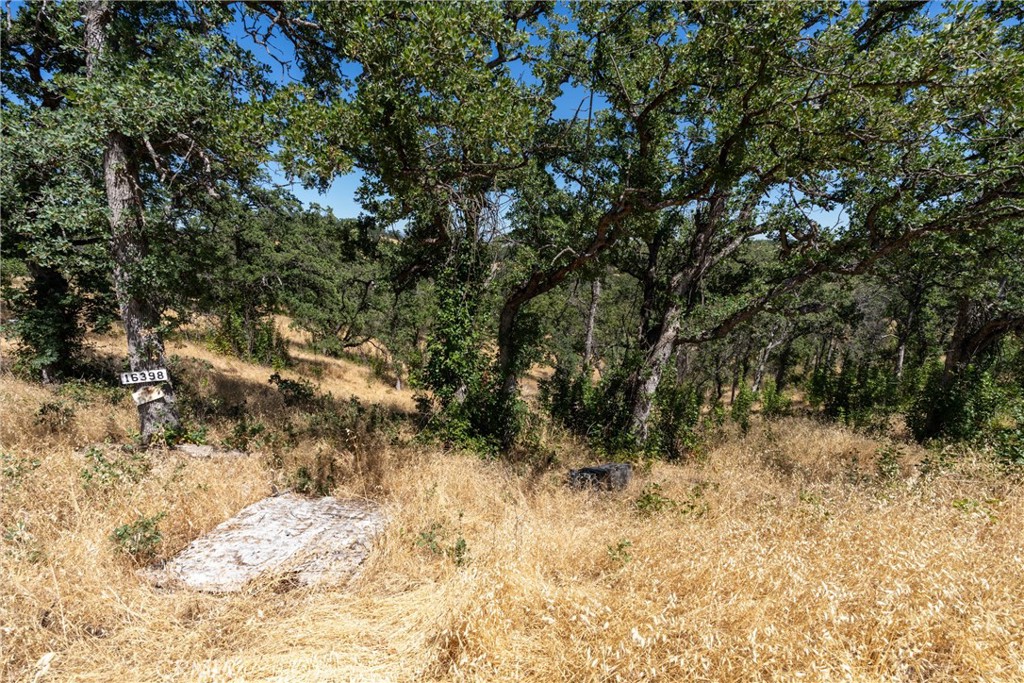 16398 Lariat Property Photo 8