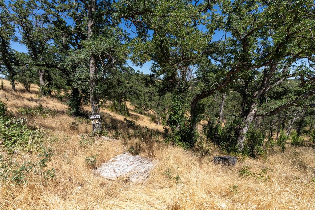 16398 Lariat Property Photo 9