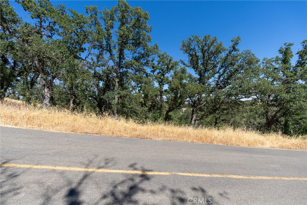 16398 Lariat Property Photo 10