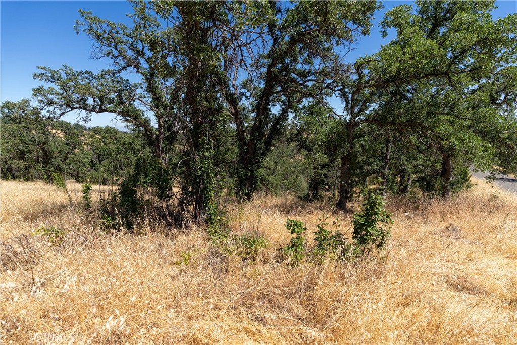 16398 Lariat Property Photo 11
