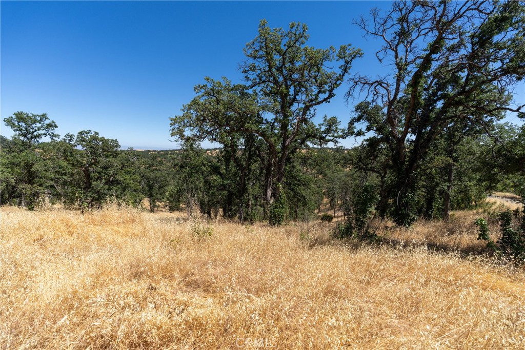 16398 Lariat Property Photo 12
