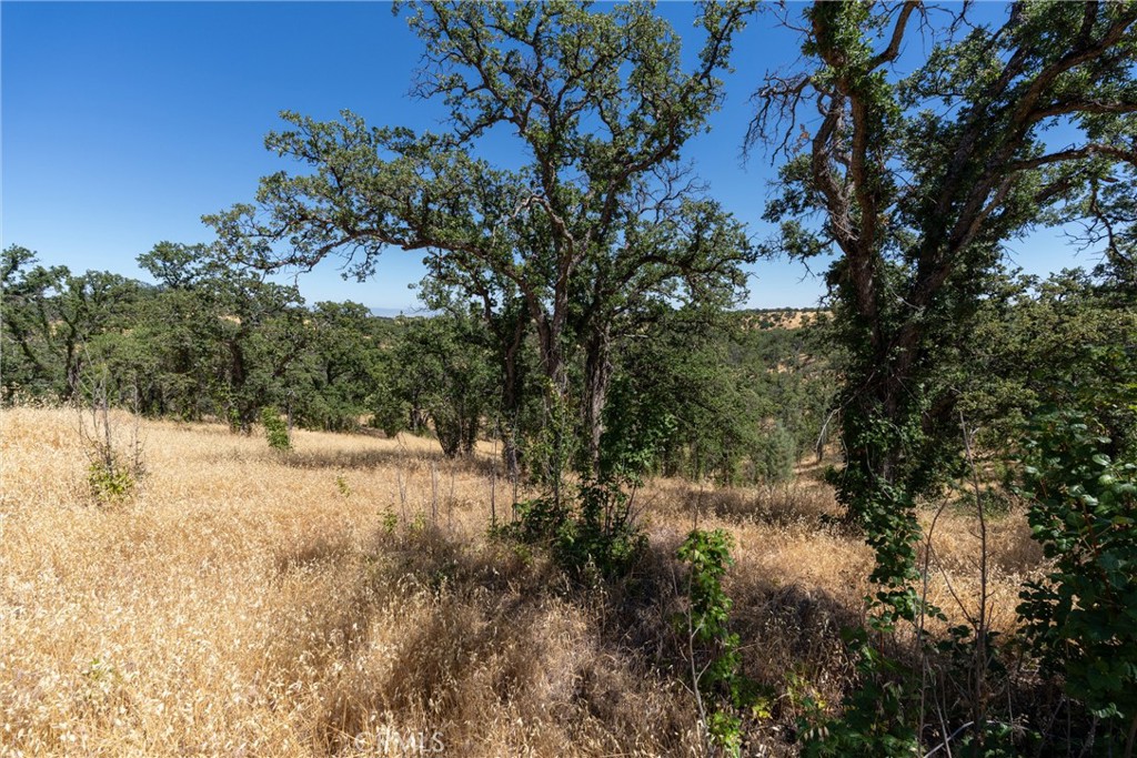 16398 Lariat Property Photo 13