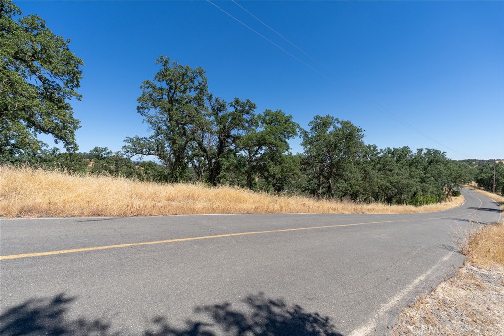 16398 Lariat Property Photo 14