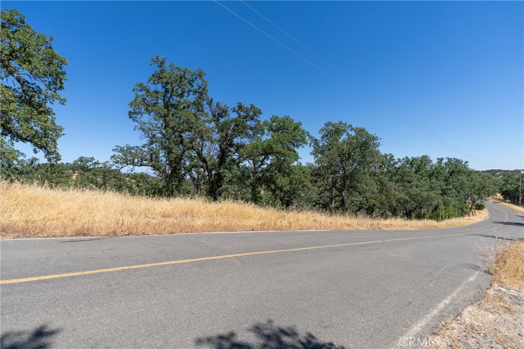 16398 Lariat Property Photo 15