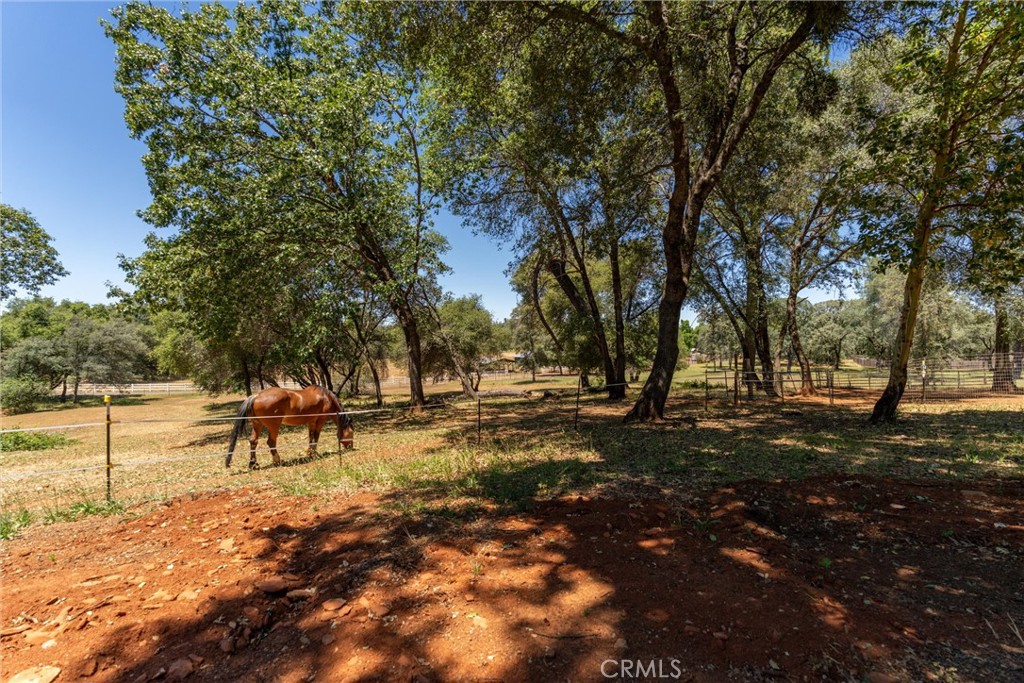 3463 Cherokee Road Property Photo 28