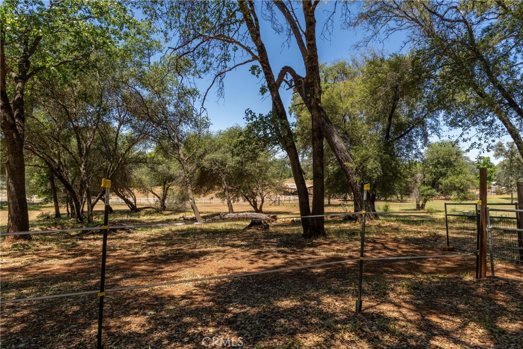 3463 Cherokee Road Property Photo 30