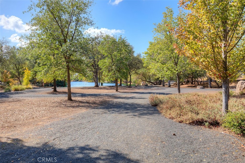90 Elderberry Court Property Photo 39