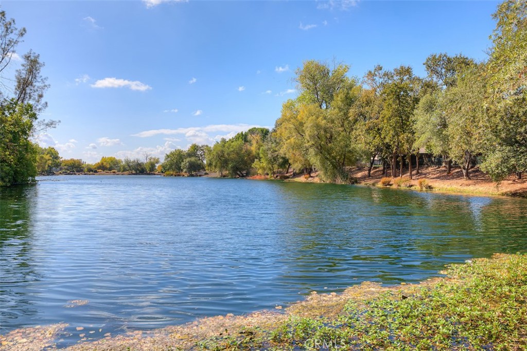 90 Elderberry Court Property Photo 40