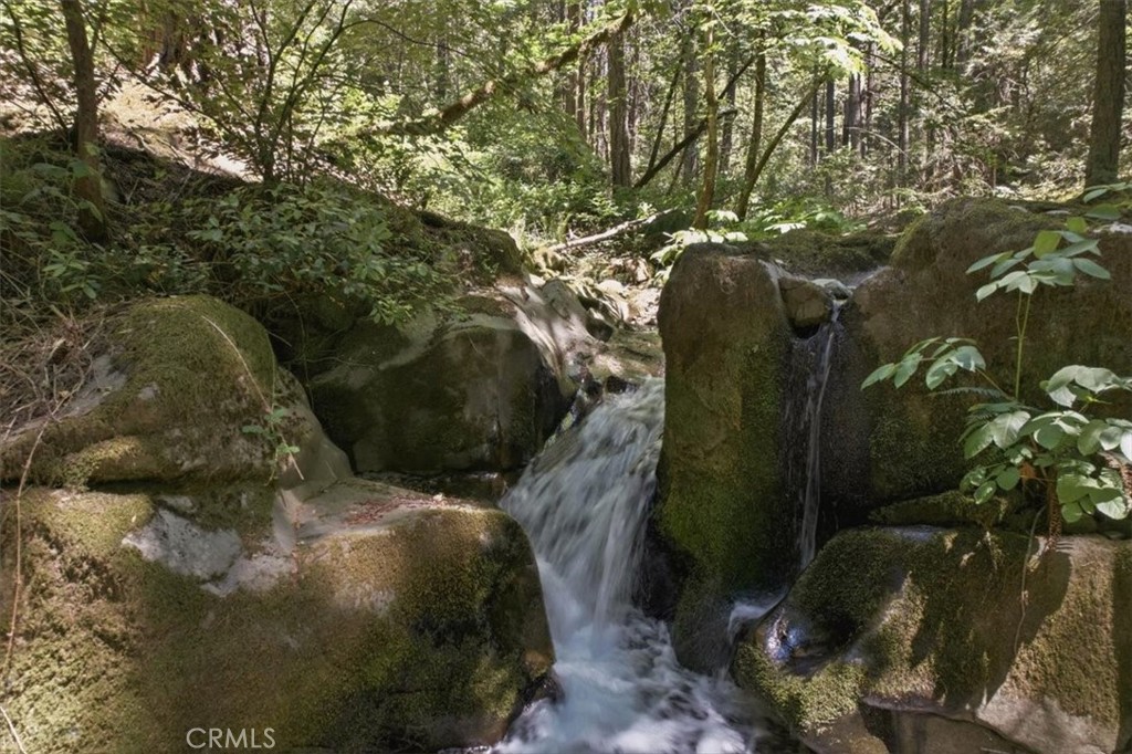 20929 Fall Creek Rd Property Photo 9