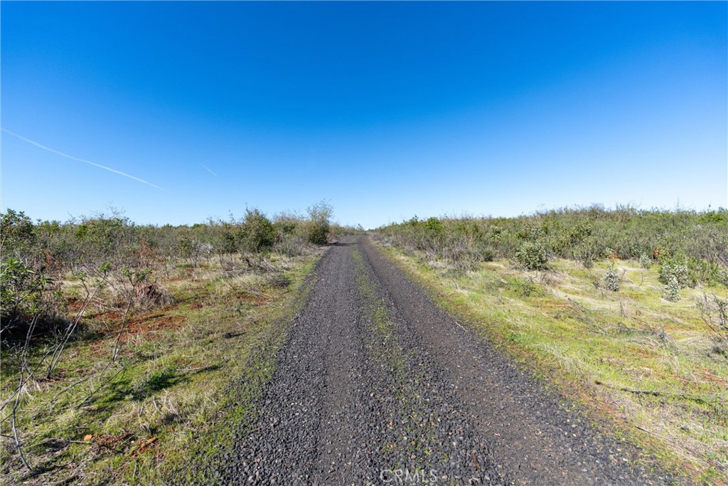 0 Doe Mill Road Property Photo 10