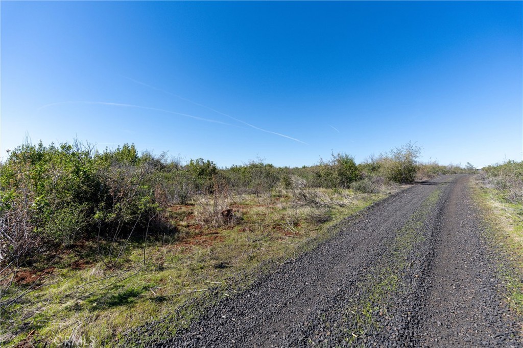0 Doe Mill Road Property Photo 12