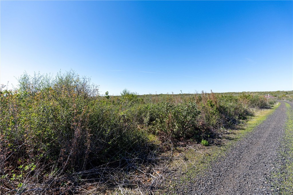 0 Doe Mill Road Property Photo 43