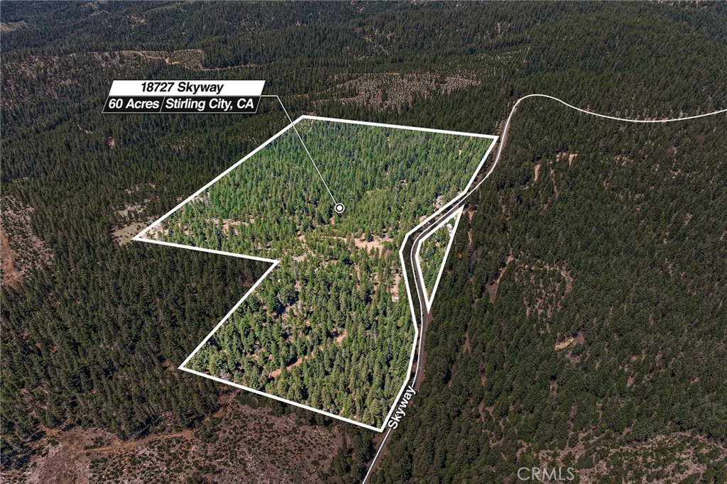 18727 Skyway Property Photo 1