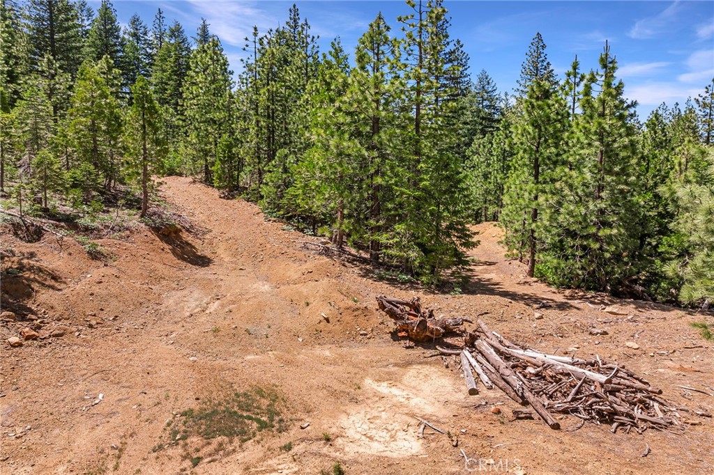 18727 Skyway Property Photo 38