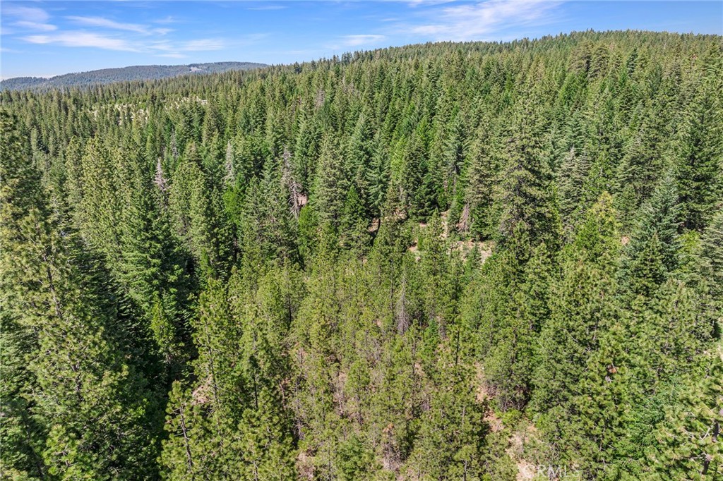 18727 Skyway Property Photo 42
