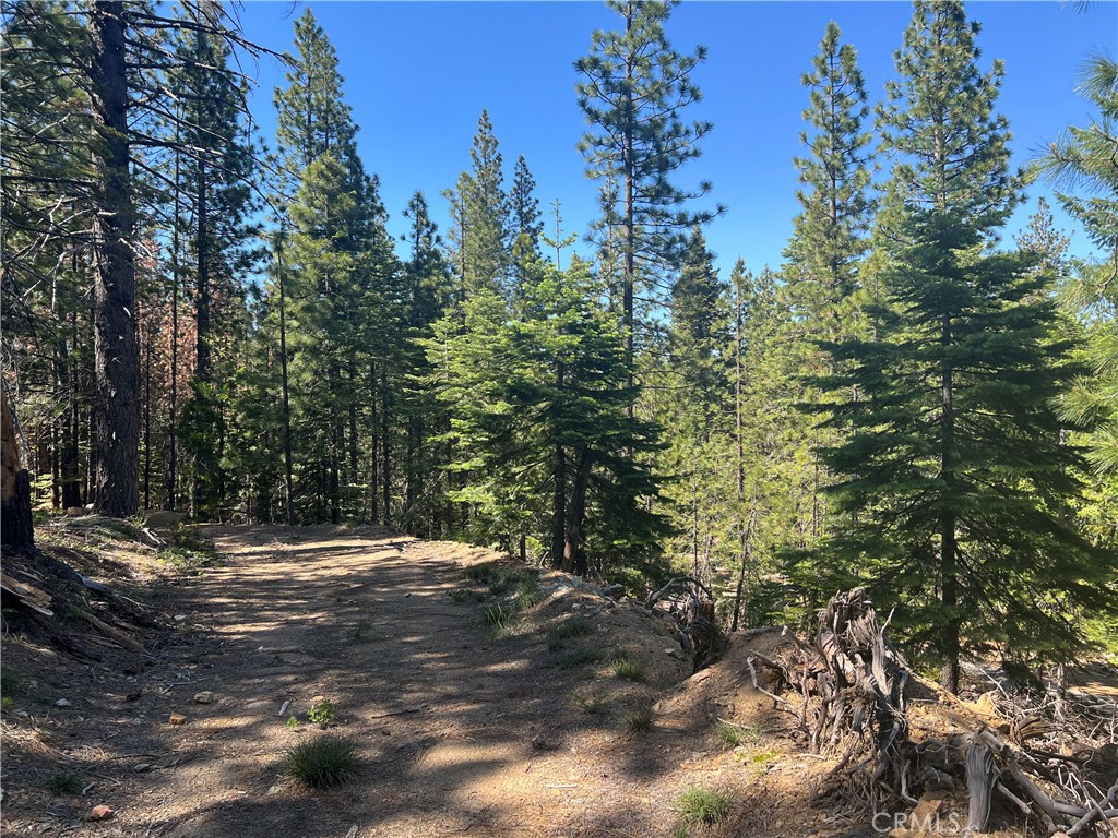18727 Skyway Property Photo 66